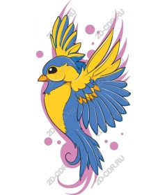  Bright blue and yellow bird