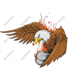  Ferocious eagle in flames