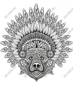 Headdress of a majestic lion feathers