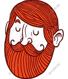  Fancy bearded man