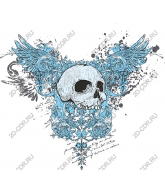 Elegant skull and wings