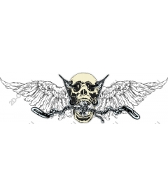  A fierce skull and wings