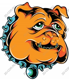 Head ferocious bulldog