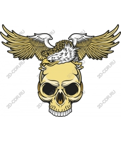 Daring skull and hedgehog