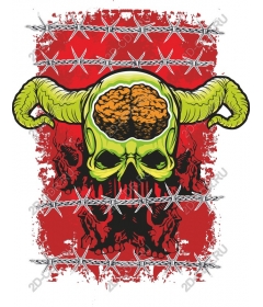  Bright the skull and brain