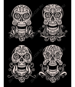  A complex set of skulls