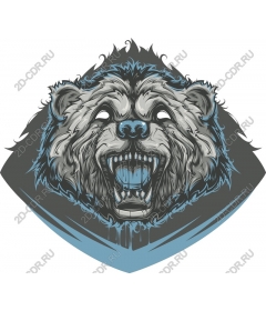 The majestic head of a bear