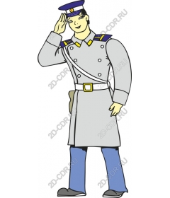 Military officer salutes