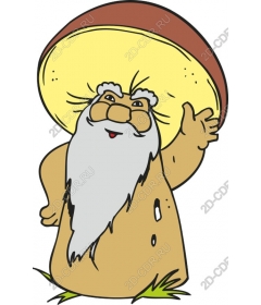 Mushroom sage