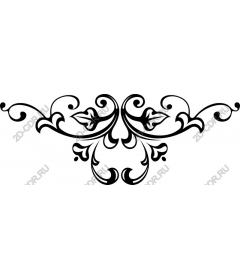  Elegant decorative flourish