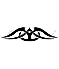  Elegance tribe