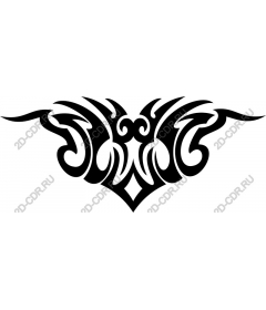  Elegance tribe