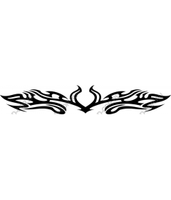  Elegance tribe