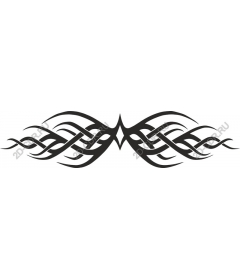 Elegance tribe