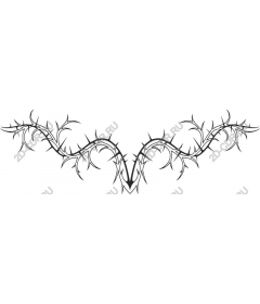  Thorny Vine