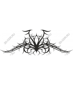 Elegance tribe