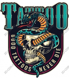 Vintage tattoo Skull and snake