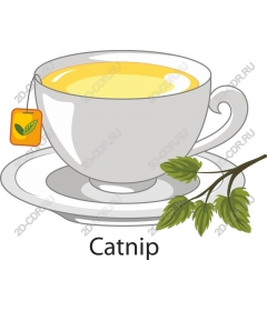  Cup of tea with Catnip