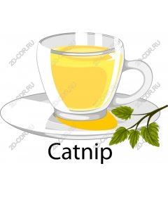  Tea made from Catnip