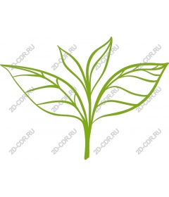  Elegant sheet