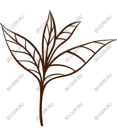  Elegant Botanical leaf