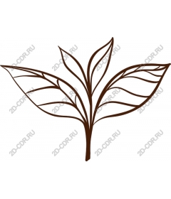  Stylized leaf