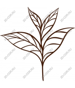  Elegant sheet