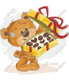  Cute Teddy bear with chocolate