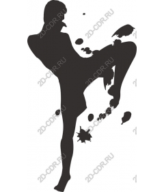 Dynamic martial arts