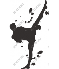 Dynamic kick martial arts