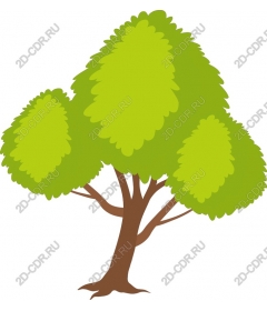  Bright green tree