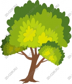  Lush bright tree