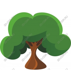  Bright clean wood