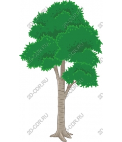  Bright tree