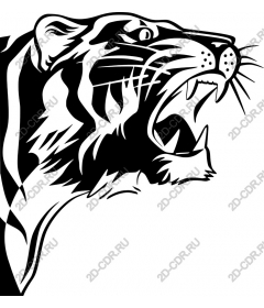 Tiger roar