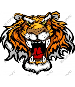  Roaring tiger head