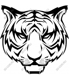 Head of a ferocious tiger