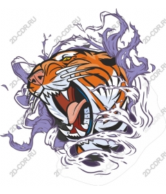 Roaring tiger