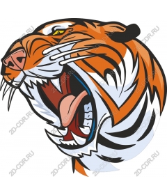  Roaring tiger