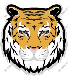 Majestic tiger head