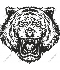  Roaring tiger