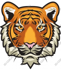 Majestic tiger head
