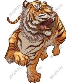 Majestic tiger