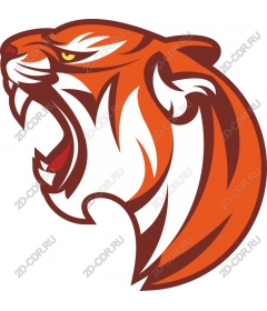  Roaring tiger