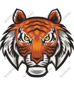  Bold tiger head