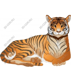 Majestic tiger