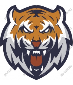 Head of a ferocious tiger