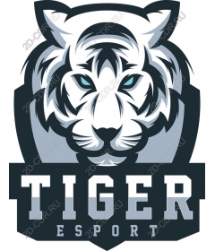 Tiger ESports