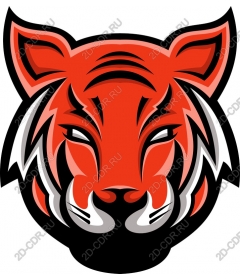 Head of a ferocious tiger
