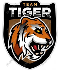 Team Tiger